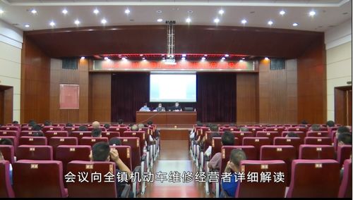 樟木頭鎮(zhèn)召開機(jī)動(dòng)車維修行業(yè)危險(xiǎn)廢物規(guī)范化管理督導(dǎo)會(huì)，深化固體廢物污染治理